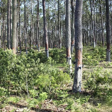 Сasa de vacaciones Casa Da Maria Carolina *