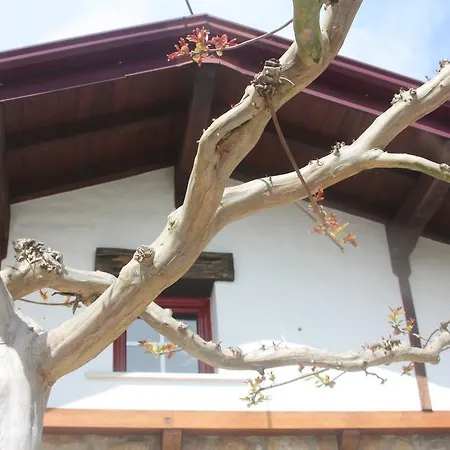 Сasa de vacaciones Casa Da Maria Carolina