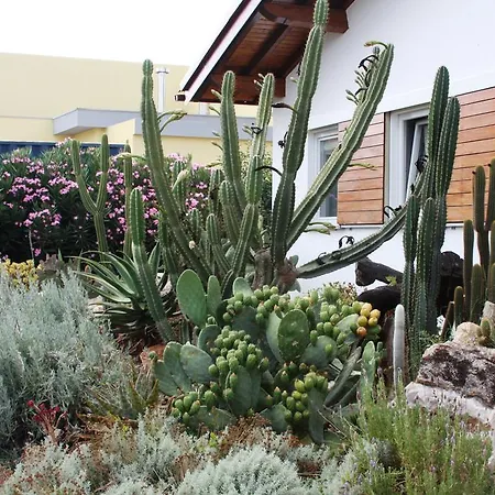 Casa Da Maria Carolina Fanhais